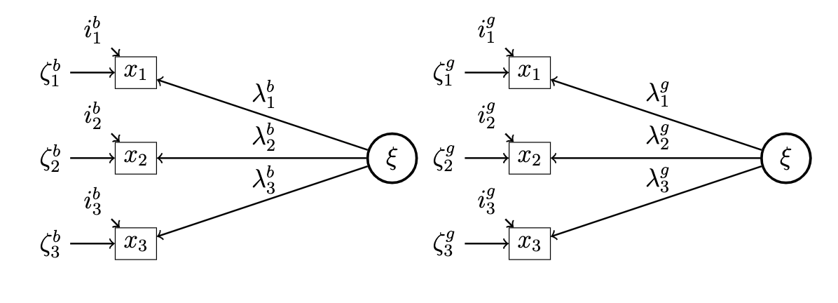 configural invariance